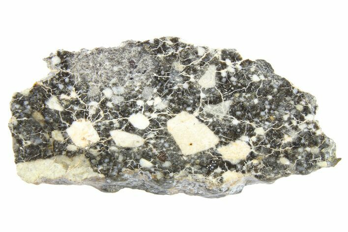 Polished Lunar Meteorite Slice ( g) - NWA #262876
